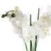 Műanyag orchidea fekete cserépben, 50 cm